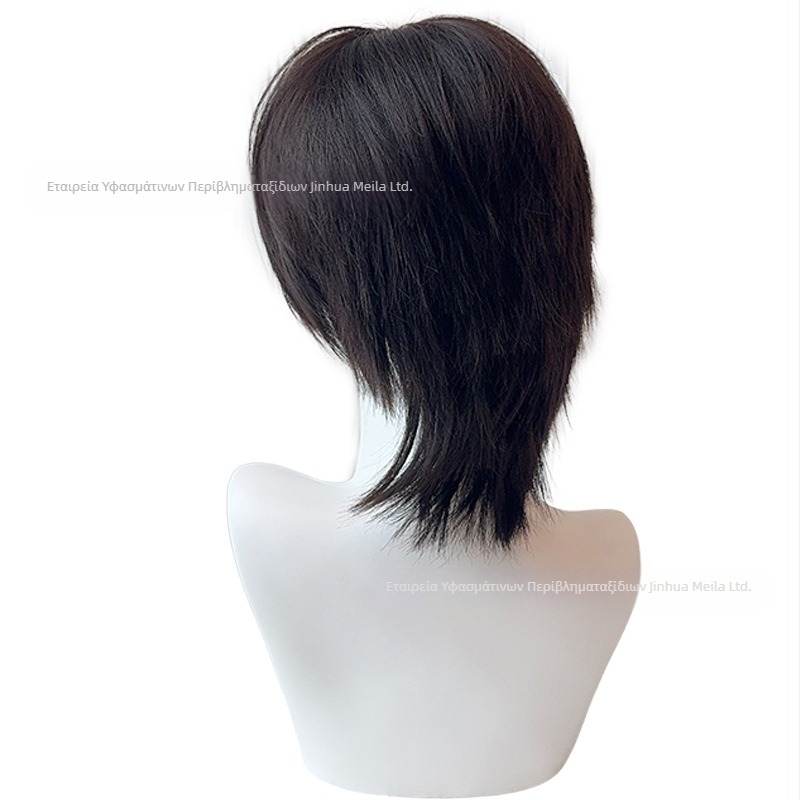 Ανδρική περούκα με στυλ mullet, μοντέλο 525, ίνες ανθεκτικές σε θερμοκρασία, cosplay έτοιμη