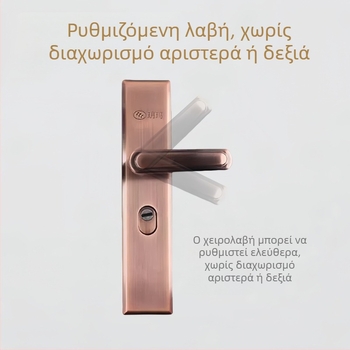 Λαβή πόρτας - Ανοξείδωτος χάλυβας, Αντιδιαρρηκτική, Παχύτερο πάνελ, Διπλού επιπέδου προστασία κατά της παραβίασης, Πολυλειτουργικά ρυθμιζόμενη, Μοντέλο 2023/10915/10208