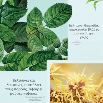 Μάσκα απομάκρυνσης μαύρων στιγμάτων με εκχύλισμα τσαγιού – σετ τριών τεμαχίων, φροντίδα ζώνης Τ, σύσφιξη πόρων, έλεγχος λιπαρότητας, ενυδάτωση