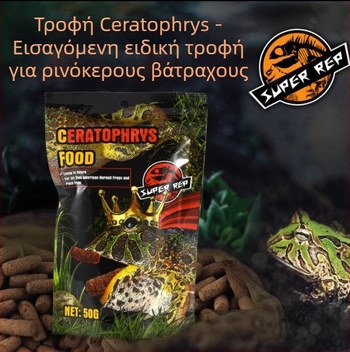 Τροφή για βάτραχο με κέρατα από τη SuperRep, 50 g, 48 πακέτα ανά κουτί, προέλευση Γκουανγκντόνγκ, ενυδρειακή τροφή κατοικίδιων