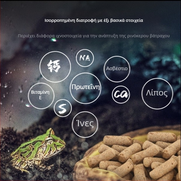 Τροφή για βάτραχο με κέρατα από τη SuperRep, 50 g, 48 πακέτα ανά κουτί, προέλευση Γκουανγκντόνγκ, ενυδρειακή τροφή κατοικίδιων