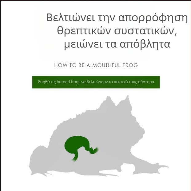 Τροφή για βάτραχο με κέρατα από τη SuperRep, 50 g, 48 πακέτα ανά κουτί, προέλευση Γκουανγκντόνγκ, ενυδρειακή τροφή κατοικίδιων