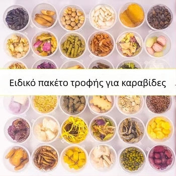 Τροφή για χερμητ καβούρια: Αφυδατωμένο και κατάψυξη-ξηρανμένο, υψηλό ασβέστιο, αποξηραμένα ψάρια και γαρίδες, χωρίς ζάχαρη νιφάδες καρύδας