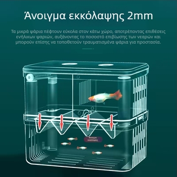 Θάλαμος επώασης για Betta ιχθύες, PS υλικό, διαχωρισμός κατά την επώαση, μάρκα Yao liu ba