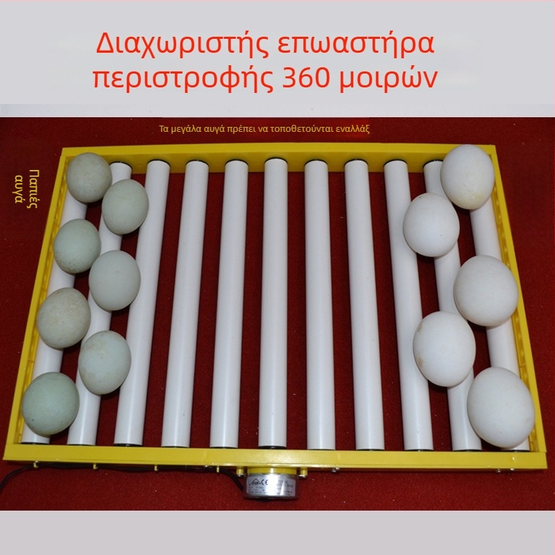 Jiayu Θήκη εκκόλαψης αυγών για κοτόπουλα – 360° αυτοδύναμος κύλινδρος για αυγά, καλαθάκι εκκόλαψης, 6μηνη εγγύηση, για κτηνοτροφία και υδατοκαλλιέργεια