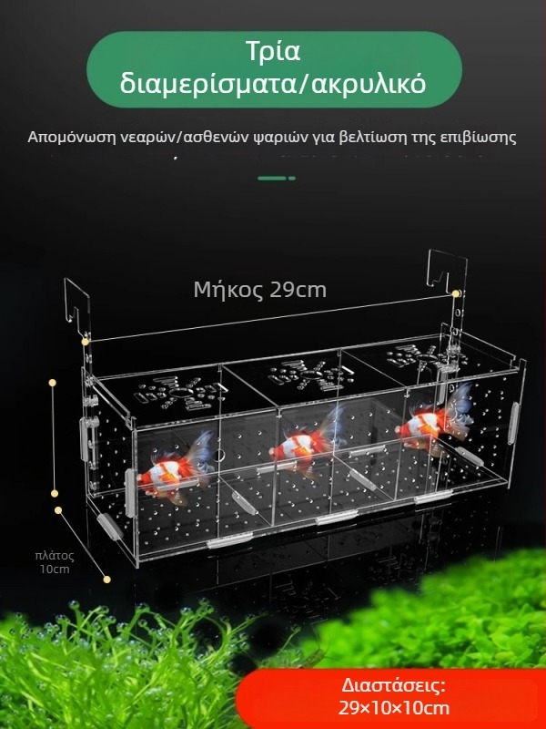 Ακρυλική θήκη απομόνωσης για ενυδρείο – εκκόλαψη γκούπι, μικρά χελωνάκια, Betta και τροπικά ψάρια; Υλικό: ακρυλικό; Προέλευση: Χεμπέι; Κατηγορία: εξοπλισμός ενυδρείου