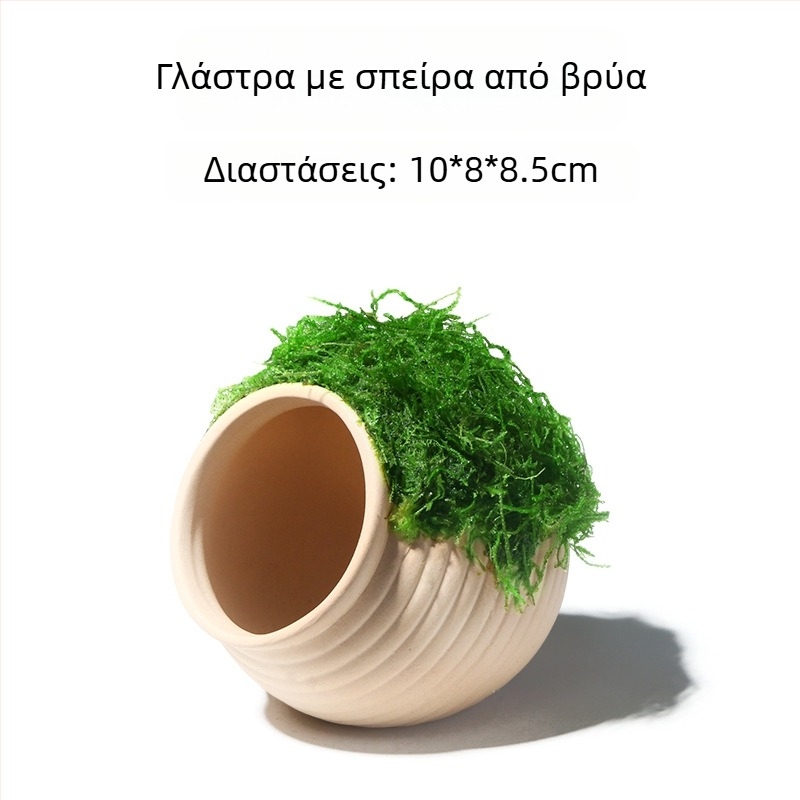 Κεραμικό διακοσμητικό για ενυδρείο με καλύψεις και τοπία — Μάρκα Crazy aquatic plants; Υλικό κεραμικό; Λειτουργία: κάλυψη και διαμόρφωση τοπίου; Κύριος σκοπός: διαμόρφωση τοπίου και κάλυψη