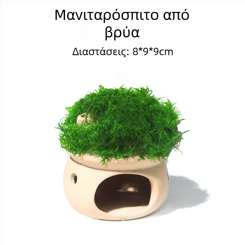 Κεραμικό διακοσμητικό για ενυδρείο με καλύψεις και τοπία — Μάρκα Crazy aquatic plants; Υλικό κεραμικό; Λειτουργία: κάλυψη και διαμόρφωση τοπίου; Κύριος σκοπός: διαμόρφωση τοπίου και κάλυψη