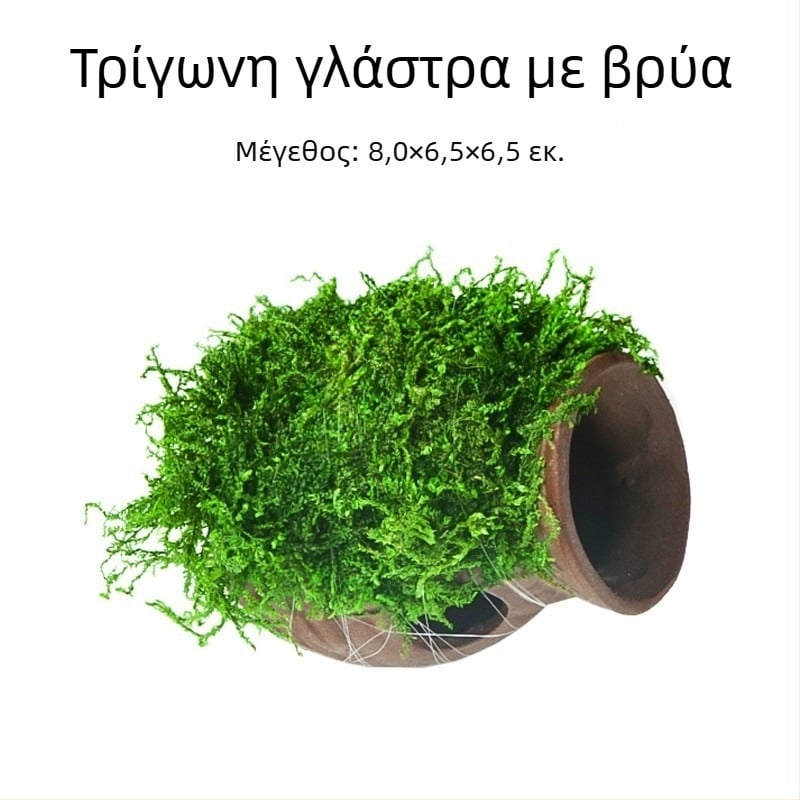 Κεραμικό διακοσμητικό για ενυδρείο με καλύψεις και τοπία — Μάρκα Crazy aquatic plants; Υλικό κεραμικό; Λειτουργία: κάλυψη και διαμόρφωση τοπίου; Κύριος σκοπός: διαμόρφωση τοπίου και κάλυψη