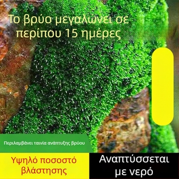 Σκόνη σπορίων βρύου για μικροτοπία και μπονσάι — μάρκα Independence, μη εισαγόμενο