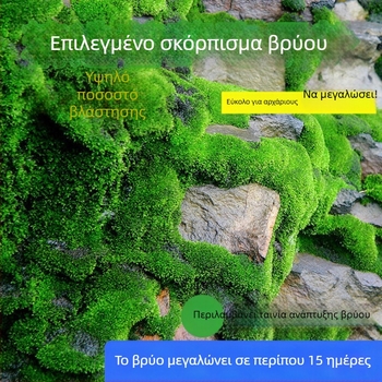 Σκόνη σπορίων βρύου για μικροτοπία και μπονσάι — μάρκα Independence, μη εισαγόμενο