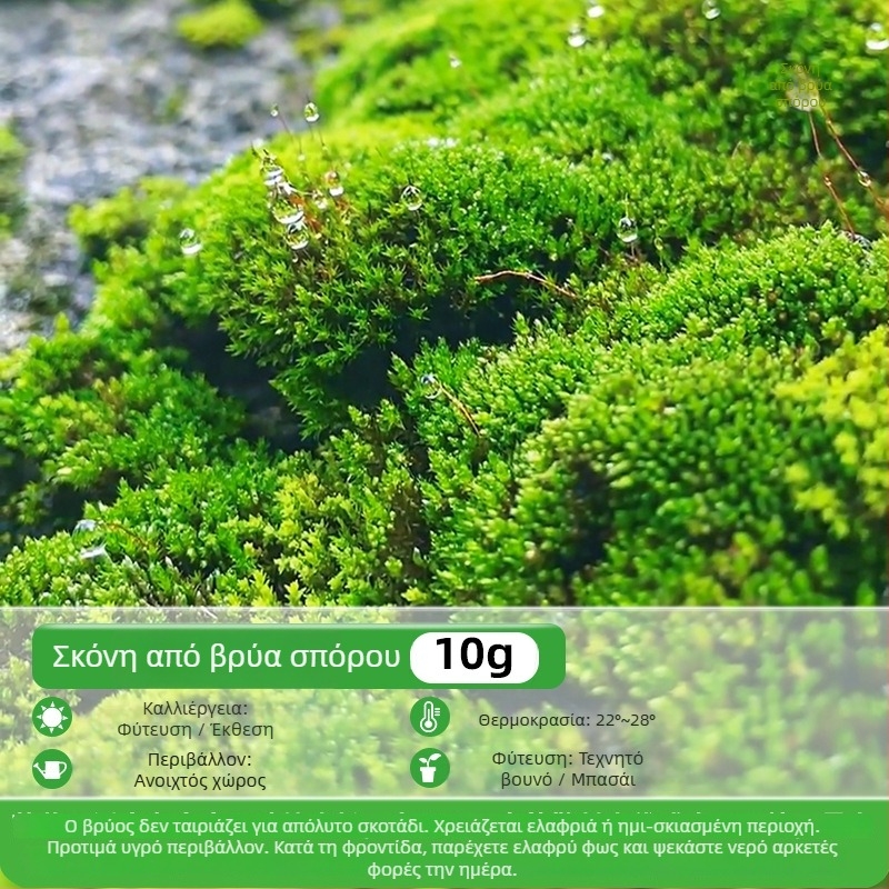 Σκόνη σπορίων βρύου για μικροτοπία και μπονσάι — μάρκα Independence, μη εισαγόμενο