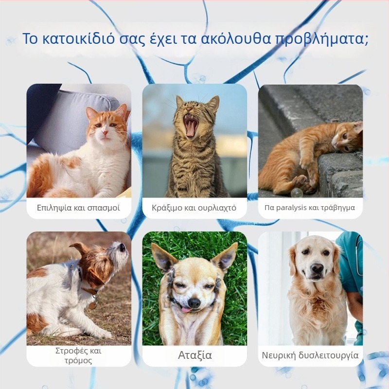 Xin Daming Νευροτροφικά δισκία για κατοικίδια – Διατήρηση νεύρων και ενίσχυση σώματος, για γάτες και σκύλους, 50 g