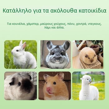 Ξηρή τροφή από αλφάλφα για κουνέλια, τσιντσιλά και γουινέα-πιγκ — 500 g ανά σακούλα, κατάλληλη για όλες τις φάσεις