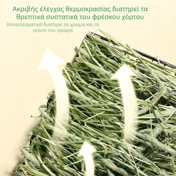Ξηρή τροφή για κουνέλια και ινδικά χοιρίδια – Timothy σανό, ηλιοξηραμένο, 500 g, για μικρά κατοικίδια