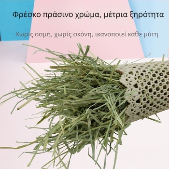 Αεροξηραμένο Timothy γρασίδι για κουνέλια, τσιντσιλά και ινδικά χοιρίδια – Ξηρά τροφή ενηλίκων