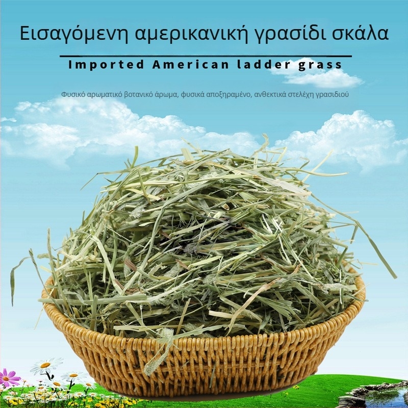 Αεροξηραμένο Timothy γρασίδι για κουνέλια, τσιντσιλά και ινδικά χοιρίδια – Ξηρά τροφή ενηλίκων