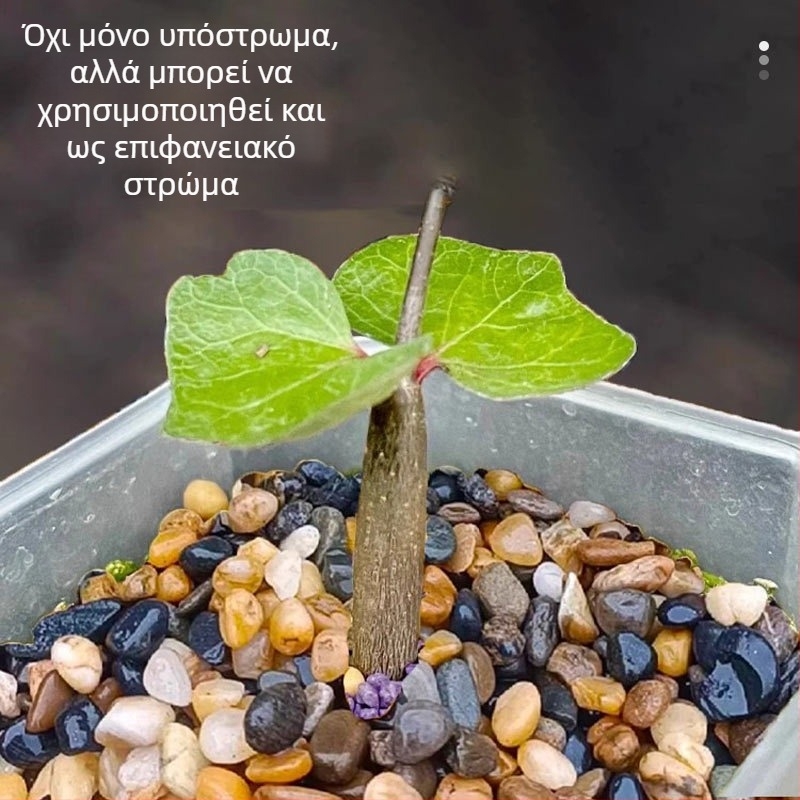 Υπόστρωμα ενυδρείου για τοπίο από Naichong — Προέλευση Σαντονγκ, Δεν εισάγεται, 20 kg ανά πακέτο