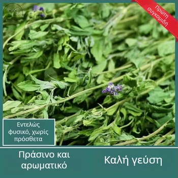 Υγρά τρόφιμα με βάση το τριφύλλι για ενήλικα κουνέλια, τσιντσίλες και ινδικά χοιρίδια — Μάρκα: Appointment with rats