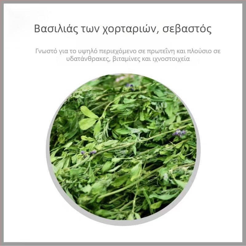 Υγρά τρόφιμα με βάση το τριφύλλι για ενήλικα κουνέλια, τσιντσίλες και ινδικά χοιρίδια — Μάρκα: Appointment with rats