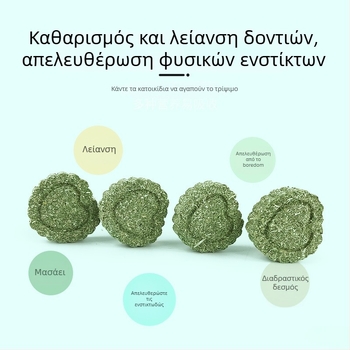 Carrot Valley Timothy Grass Dry Food για κουνέλια, chinchillas, hamsters και guinea pigs — περίπου 15 g