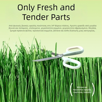 Yee Rabbit Hay — 12 ειδών: Timothy γρασίδι, αλφαλά, βρώμη, μέντα, chicory γρασίδι; ξηρή τροφή κατοικίδιων, 500 g, 1 συσκευασία