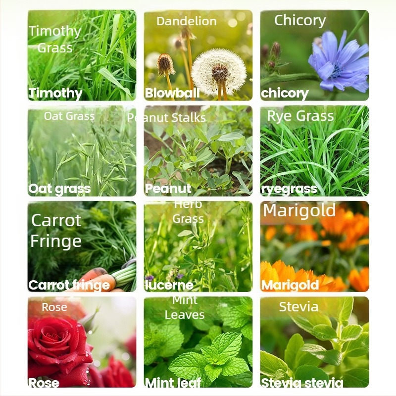 Yee Rabbit Hay — 12 ειδών: Timothy γρασίδι, αλφαλά, βρώμη, μέντα, chicory γρασίδι; ξηρή τροφή κατοικίδιων, 500 g, 1 συσκευασία