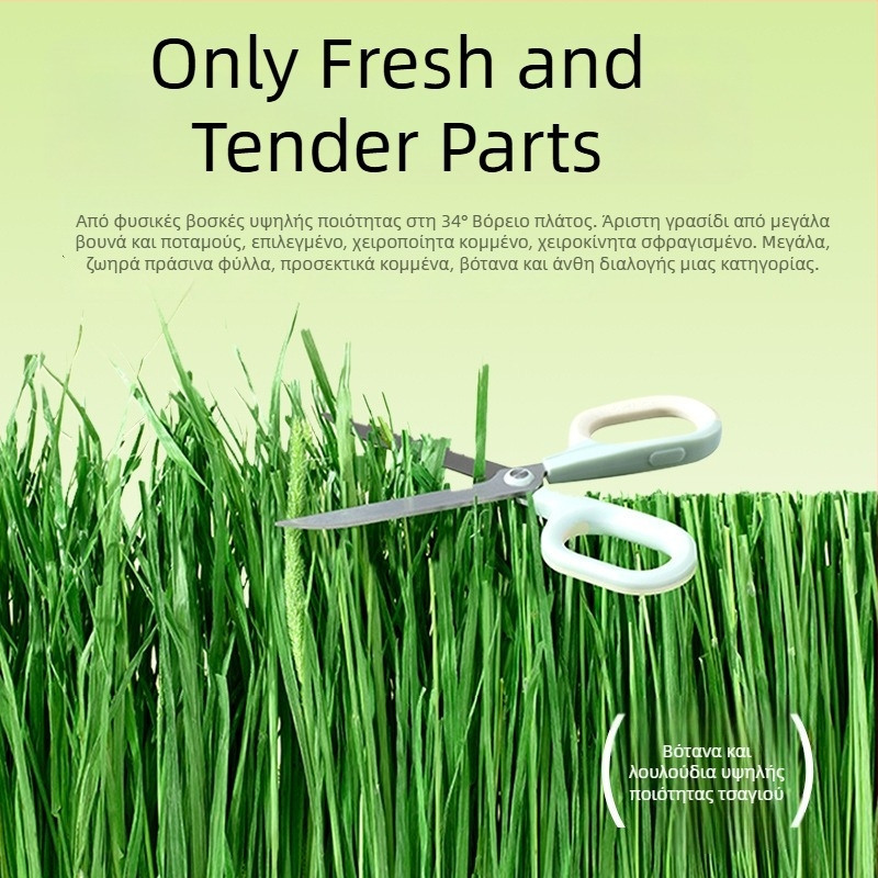 Yee Rabbit Hay — 12 ειδών: Timothy γρασίδι, αλφαλά, βρώμη, μέντα, chicory γρασίδι; ξηρή τροφή κατοικίδιων, 500 g, 1 συσκευασία