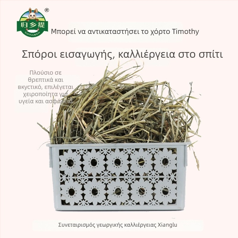 Homecoming Ξηρή τροφή για κουνέλια και τσιντσιλά – άχυρο από σιτάρι, 500 g, σακούλα Ziplock, αποξηραμένο
