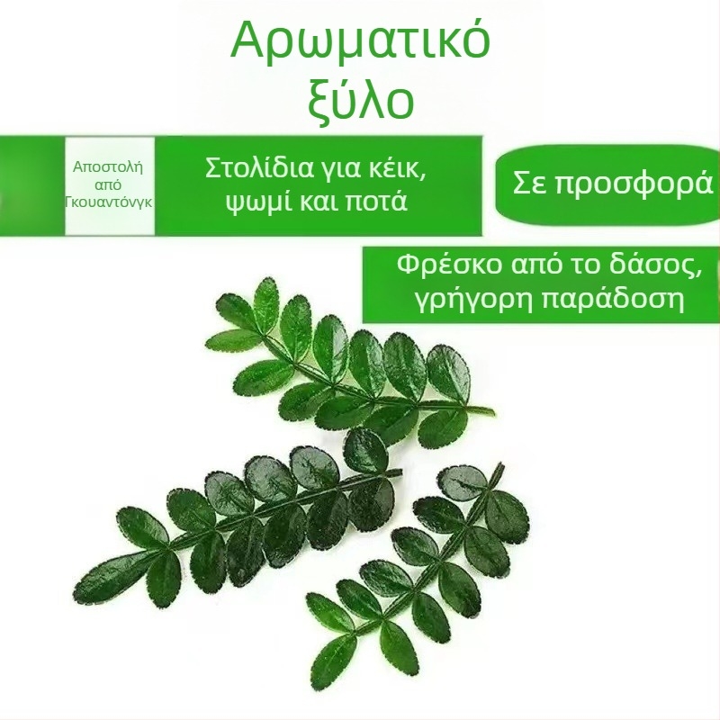 Φαγώσιμα φύλλα για διακόσμηση τούρτας — αρωματικό ξύλινο φυτό σε γλάστρα, Pepper Wood, κωδικός προϊόντος 33699