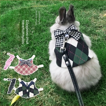 Σετ ιμάντας και λουρί για κουνέλια — Carrot Valley, Προέλευση Ανχουϊ, Δεν εισάγεται, Για κουνέλια