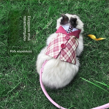 Σετ ιμάντας και λουρί για κουνέλια — Carrot Valley, Προέλευση Ανχουϊ, Δεν εισάγεται, Για κουνέλια