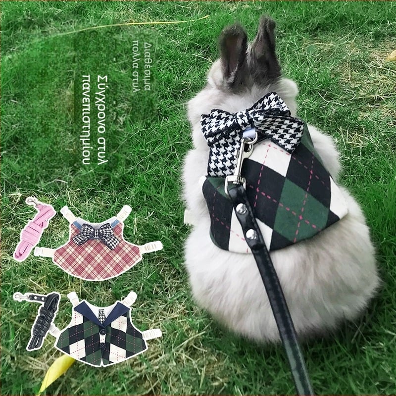 Σετ ιμάντας και λουρί για κουνέλια — Carrot Valley, Προέλευση Ανχουϊ, Δεν εισάγεται, Για κουνέλια