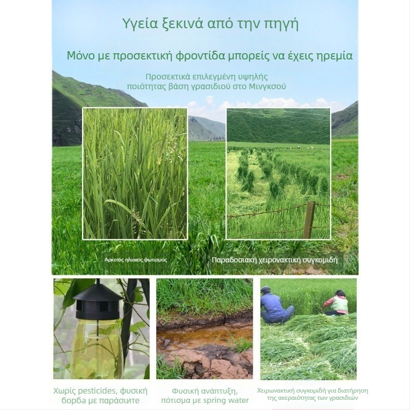 Ξηρή τροφή για νεαρά κουνέλια – Timothy Hay, 500 g, TZ6RSXHS | Τροφή για κατοικίδια ζώα