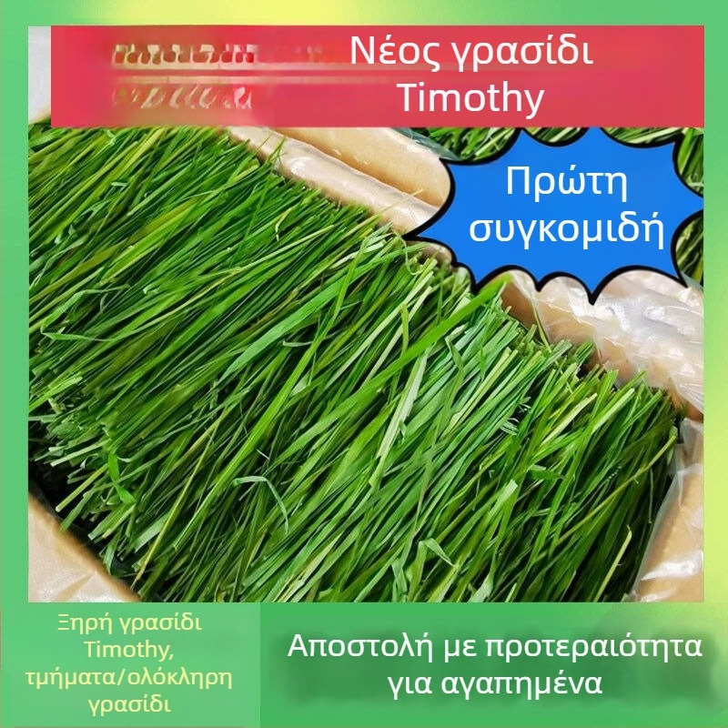 Ξηρή τροφή για νεαρά κουνέλια – Timothy Hay, 500 g, TZ6RSXHS | Τροφή για κατοικίδια ζώα