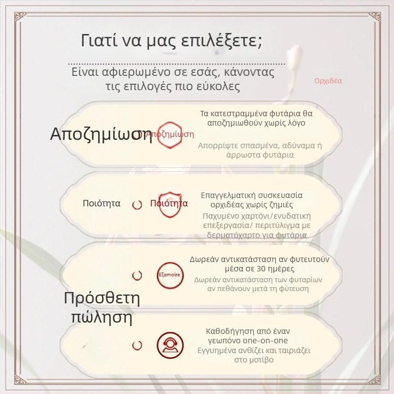 Σπορόφυτα ορχιδέας, εύκολα στην καλλιέργεια όλο το χρόνο, αρωματικό φυτό εσωτερικού χώρου σε γλάστρα