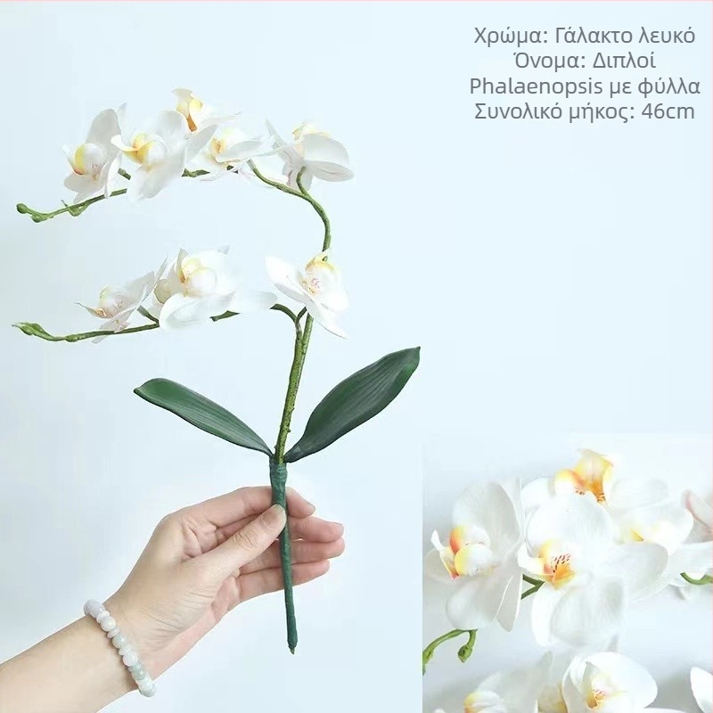 Τεχνητή ορχιδέα Phalaenopsis, μεταξωτό άνθος – μάρκα Western butterfly, υλικό μεταξωτό, ποικιλία Phalaenopsis