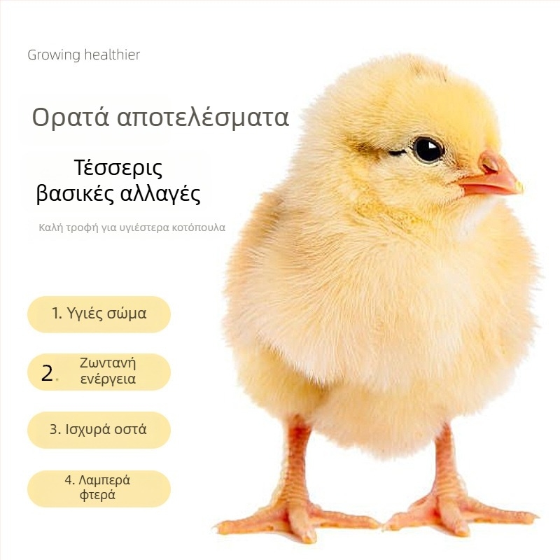 Τροφή εκκόλαψης για μικρά κοτόπουλα και ορτύκια (Εισαγωγή: Όχι; Ιδιωτικό σήμα: Ναι; Αγορά: Άλλες)