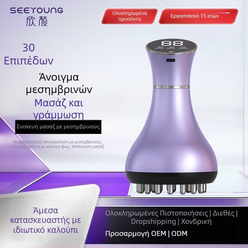 Ηλεκτρική συσκευή θεραπείας με ξύσιμο κατά μεσημβρινούς με θέρμανση, USB τροφοδοσία και έλεγχο με κουμπί, μοντέλο XY-M04, SEEYOUNG