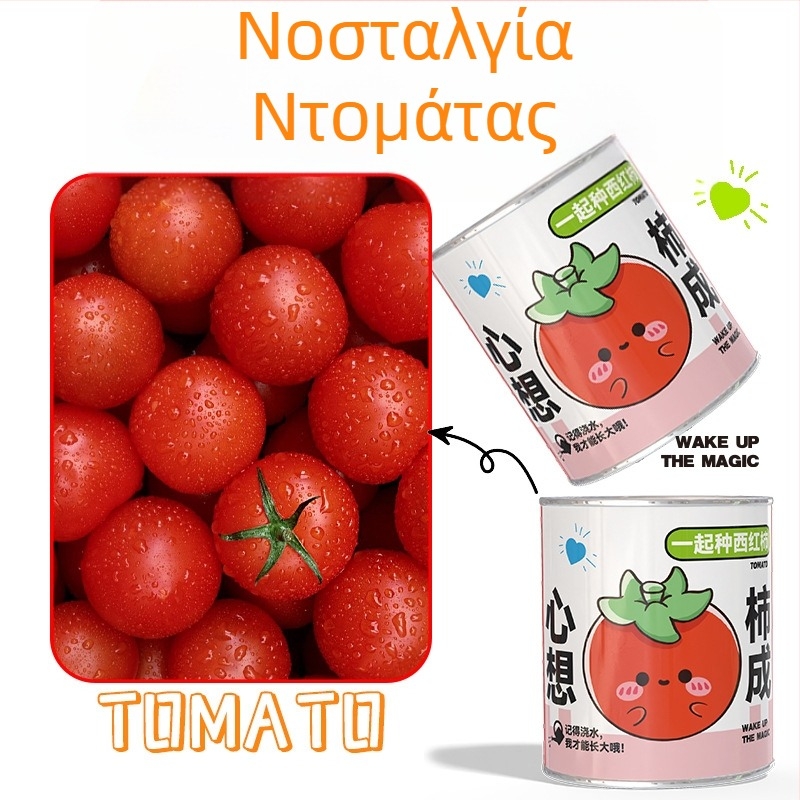 Μίνι γλαστράκια σε κουτί μυστηρίου για φύτευση: strawberry, gypsophila, morning glory; κατάλληλα ως δώρα στην τάξη ή ως επιβράβευση μαθητών