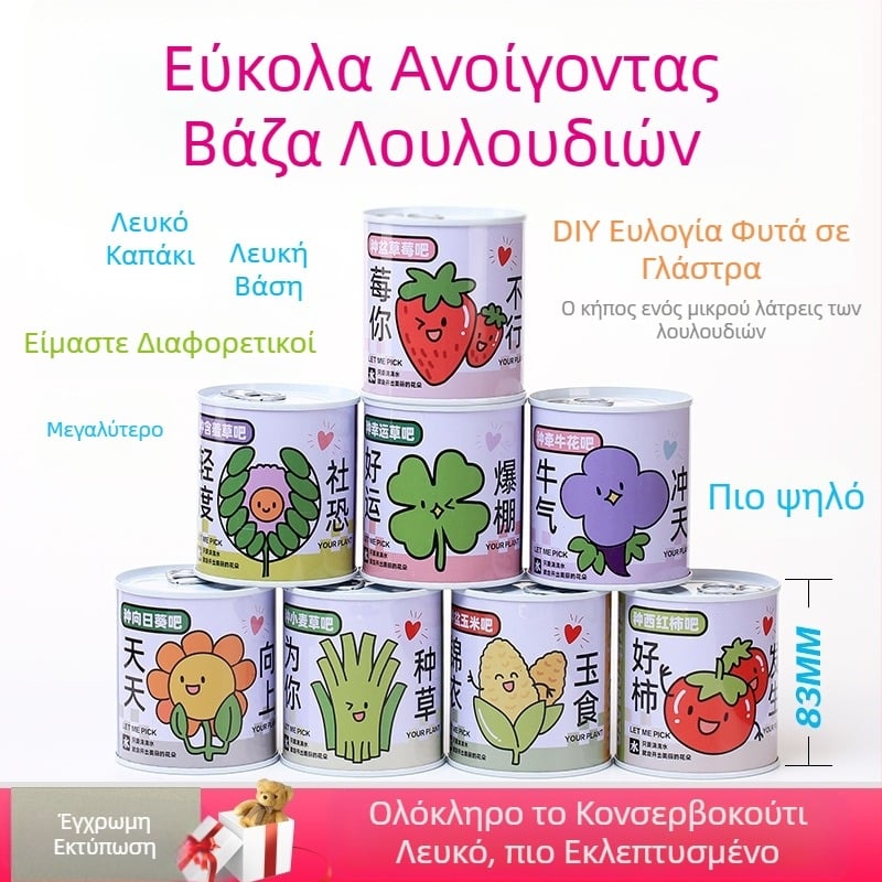 Επιτραπέζιο φυτό σε κουτί δώρου με μίγμα ηλίανθου — σπόροι εύκολοι στην καλλιέργεια, ποικιλίες: ηλίανθος, φράουλα, ντομάτα, τριφύλλι; ευδοκιμεί πάνω από 15°C, ουδέτερο φως