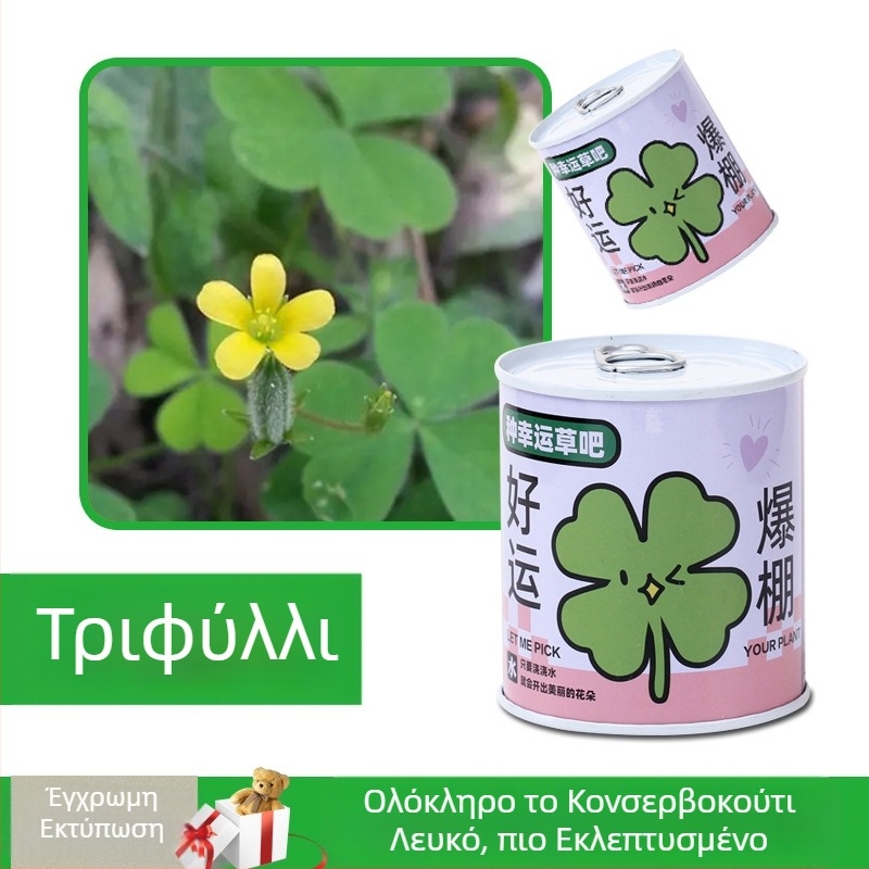 Επιτραπέζιο φυτό σε κουτί δώρου με μίγμα ηλίανθου — σπόροι εύκολοι στην καλλιέργεια, ποικιλίες: ηλίανθος, φράουλα, ντομάτα, τριφύλλι; ευδοκιμεί πάνω από 15°C, ουδέτερο φως