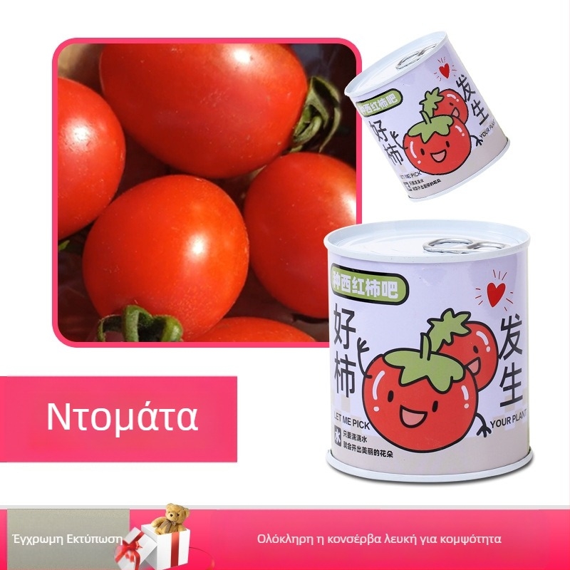 Επιτραπέζιο φυτό σε κουτί δώρου με μίγμα ηλίανθου — σπόροι εύκολοι στην καλλιέργεια, ποικιλίες: ηλίανθος, φράουλα, ντομάτα, τριφύλλι; ευδοκιμεί πάνω από 15°C, ουδέτερο φως