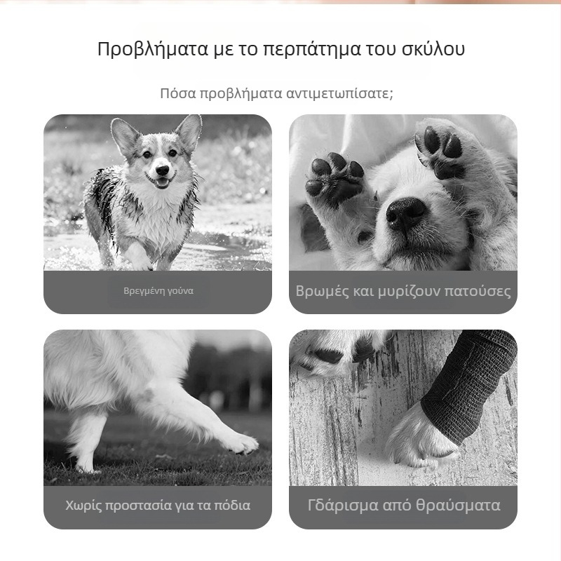 Κάλτσες για κατοικίδια σκύλων και καλύμματα για τα πόδια, αντιολισθητικά για εσωτερική και εξωτερική χρήση, πλεκτά με warp-knitting, Jacquard ύφανση, πολυεστέρας