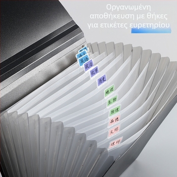 13-θέσεων ακορντον φάκελος εγγράφων, πλασική κατασκευή, μεγάλη χωρητικότητα, εκτυπωμένο λογότυπο, δυνατότητα προσαρμογής, αδειοδοτημένη ιδιωτική ετικέτα