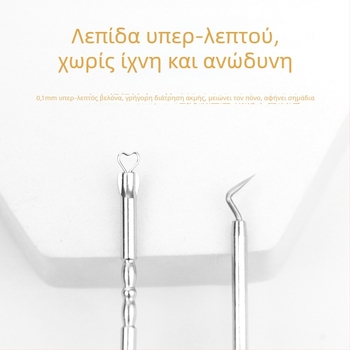 Σετ βελόνας ακμής, 2 τεμάχια, με θήκη αποθήκευσης, ανοξείδωτο ατσάλι, φορητό, πολυλειτουργικό