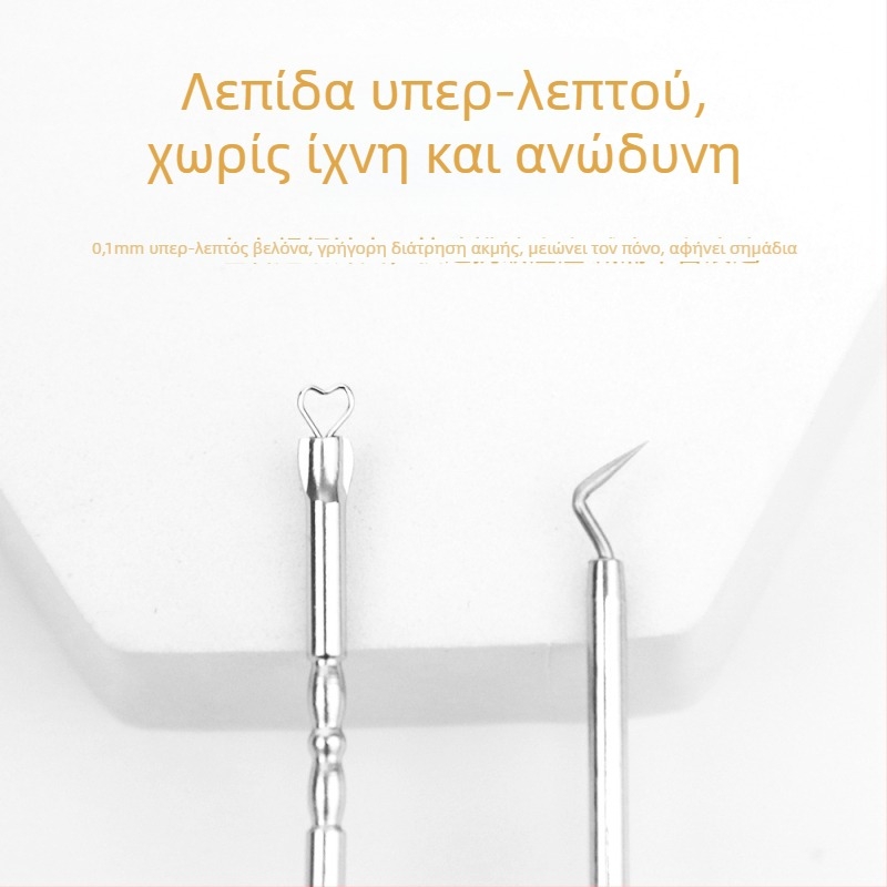 Σετ βελόνας ακμής, 2 τεμάχια, με θήκη αποθήκευσης, ανοξείδωτο ατσάλι, φορητό, πολυλειτουργικό