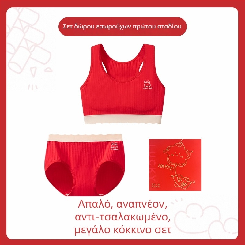 Σετ σουτιέν για κορίτσια εφηβικής ηλικίας, βαμβακερό με αντιβακτηριακή προστασία, πλήρες κύπελλο με διαμορφωμένα φλυτζάνια, σταθερές τιράντες, διαπνέον και άνετο