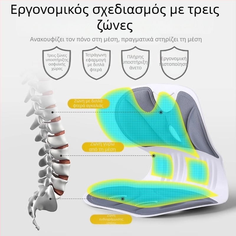 Εργονομικό μαξιλαράκι οσφυϊκής στήριξης για καρέκλα γραφείου — σφουγγάρι, πλαστικό περίβλημα, Zhuo Chen