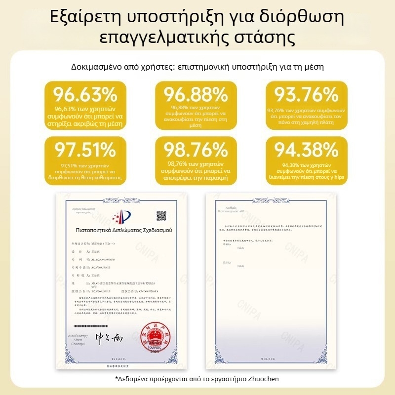 Εργονομικό μαξιλαράκι οσφυϊκής στήριξης για καρέκλα γραφείου — σφουγγάρι, πλαστικό περίβλημα, Zhuo Chen